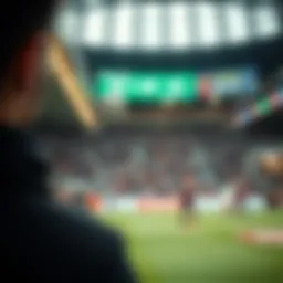 Overview of Toto Betting Sites